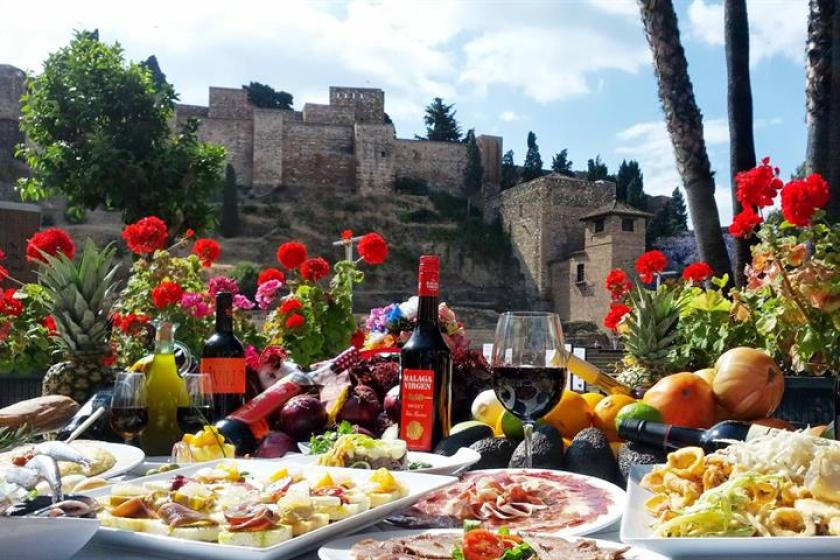 The Best Spain Food Facts in Medvilla Spanje