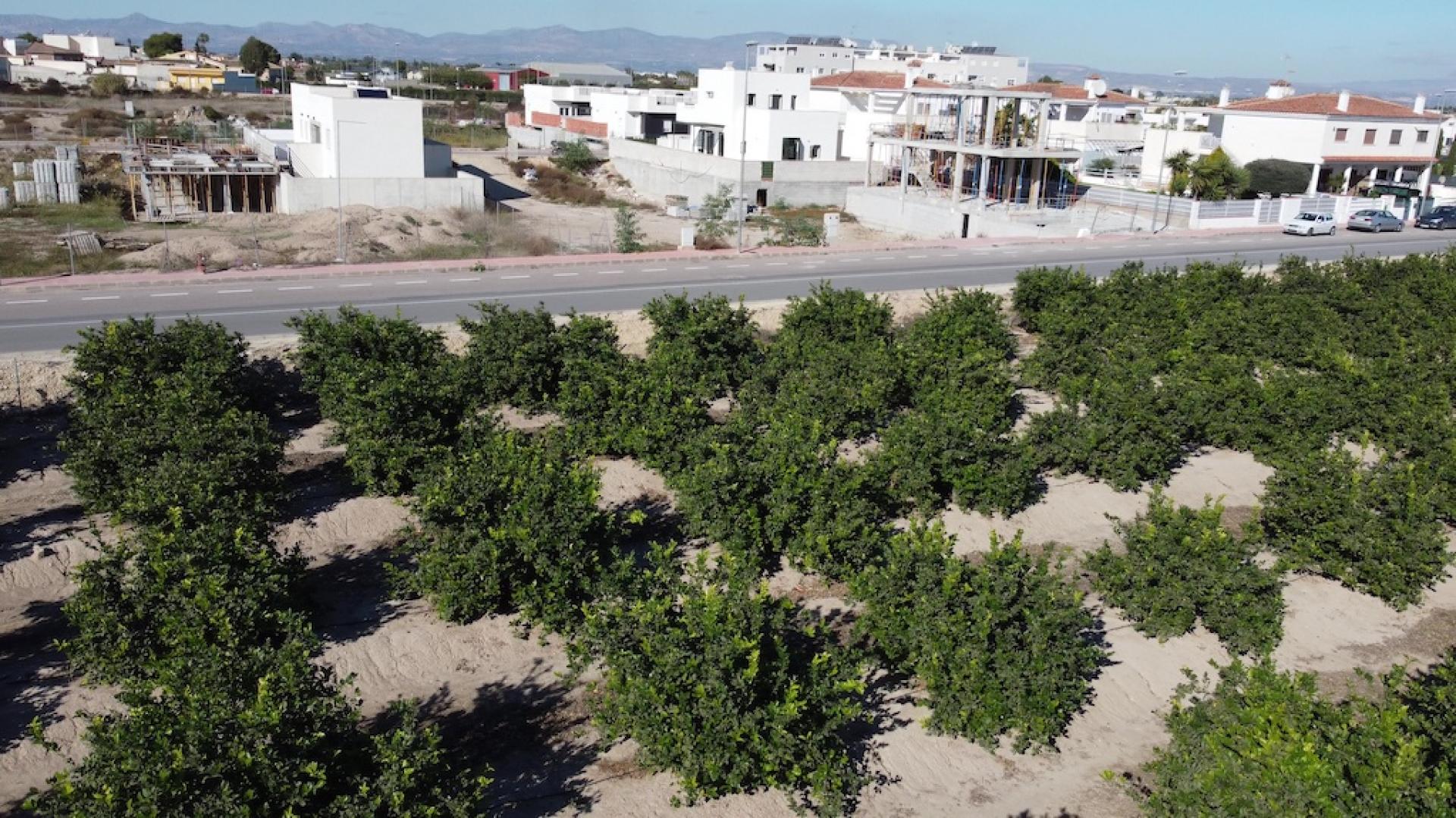 3 bedroom Villa in Daya Nueva in Medvilla Spanje