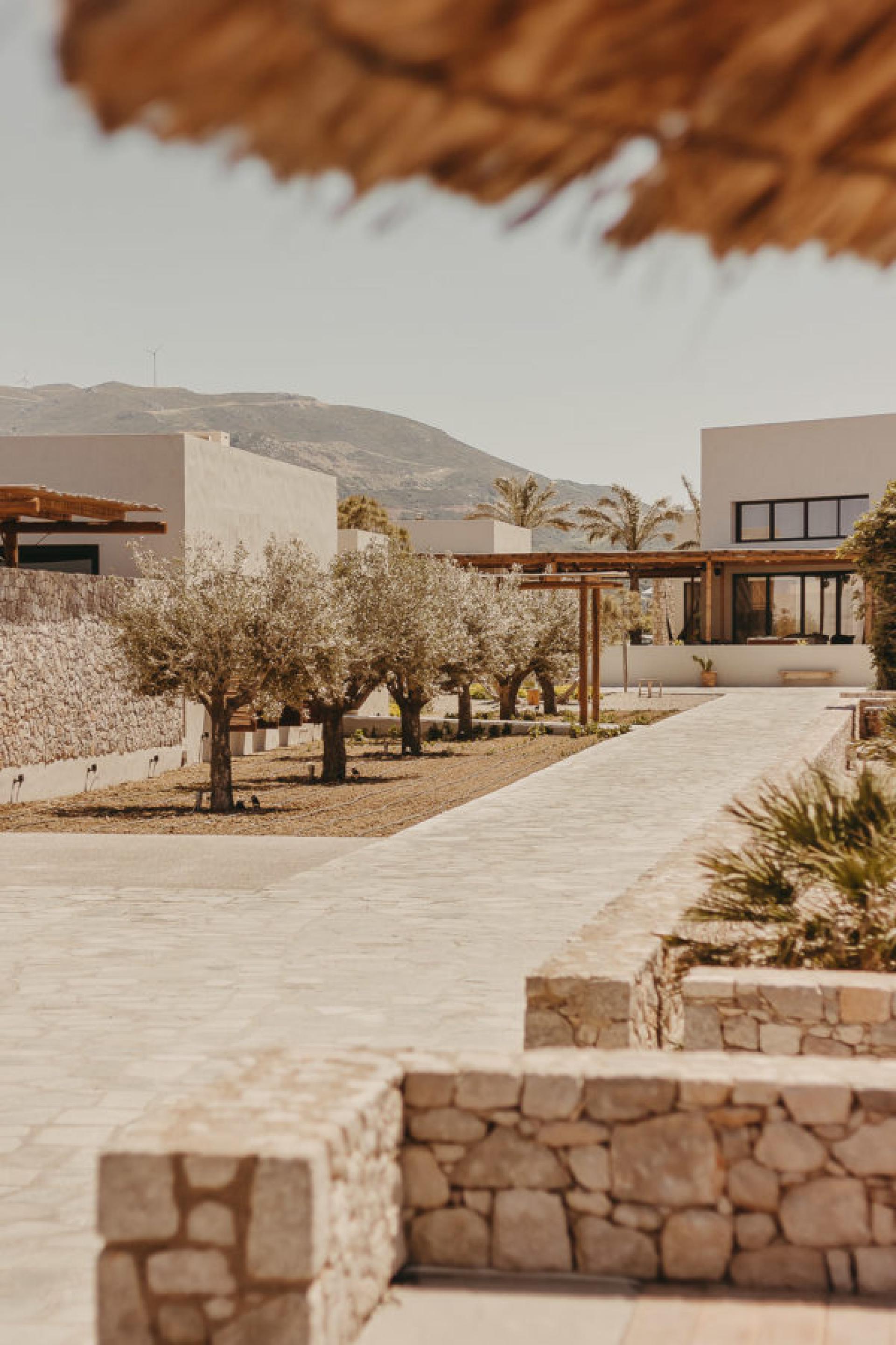 Your own villa in the middle of a vineyard near Yecla in Medvilla Spanje