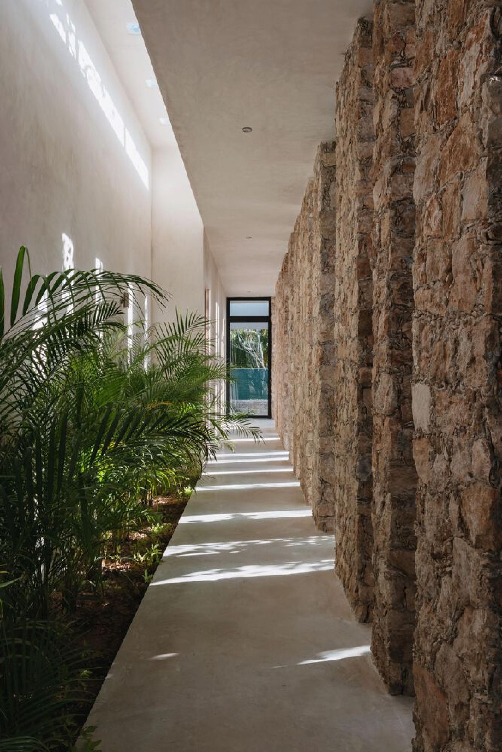 Your own villa in the middle of a vineyard near Yecla in Medvilla Spanje