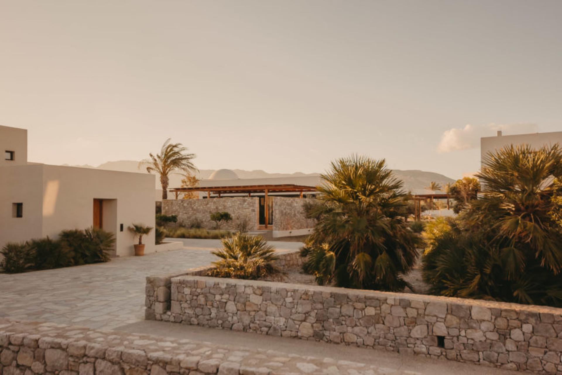 Your own villa in the middle of a vineyard near Yecla in Medvilla Spanje