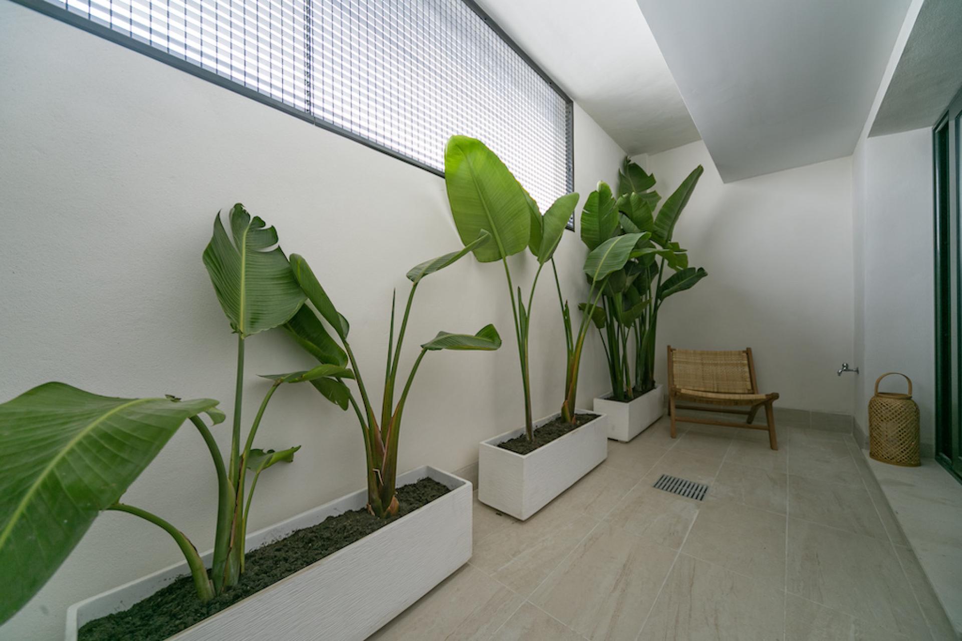 2 bedroom Apartments - solarium in Torrevieja in Medvilla Spanje