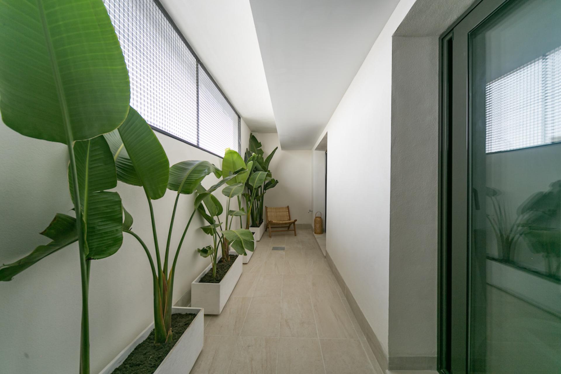 2 bedroom Apartments - solarium in Torrevieja in Medvilla Spanje
