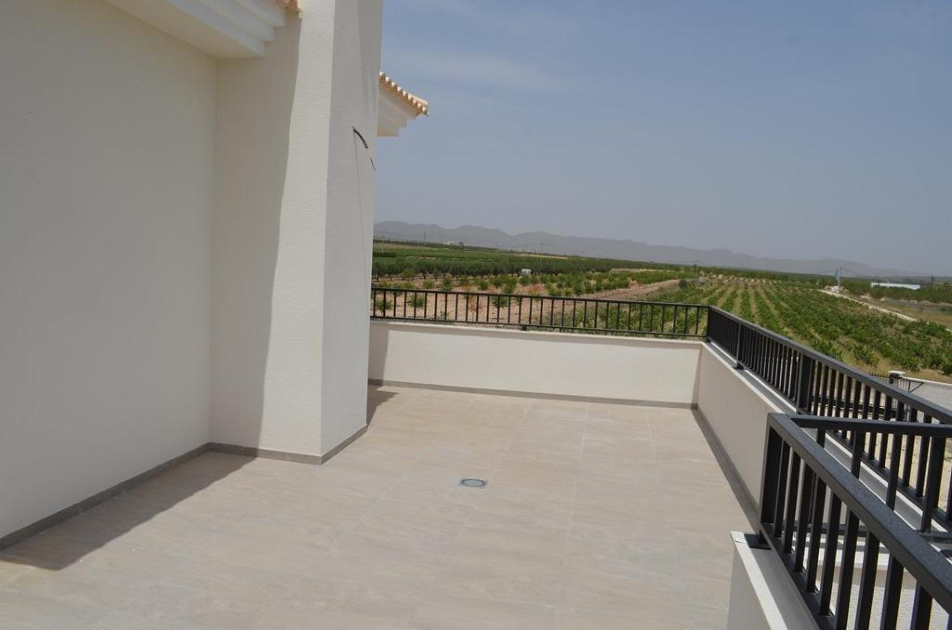 Luxury New Villas with Pool inc. land, licences & legalities in Alicante, Pinoso in Medvilla Spanje