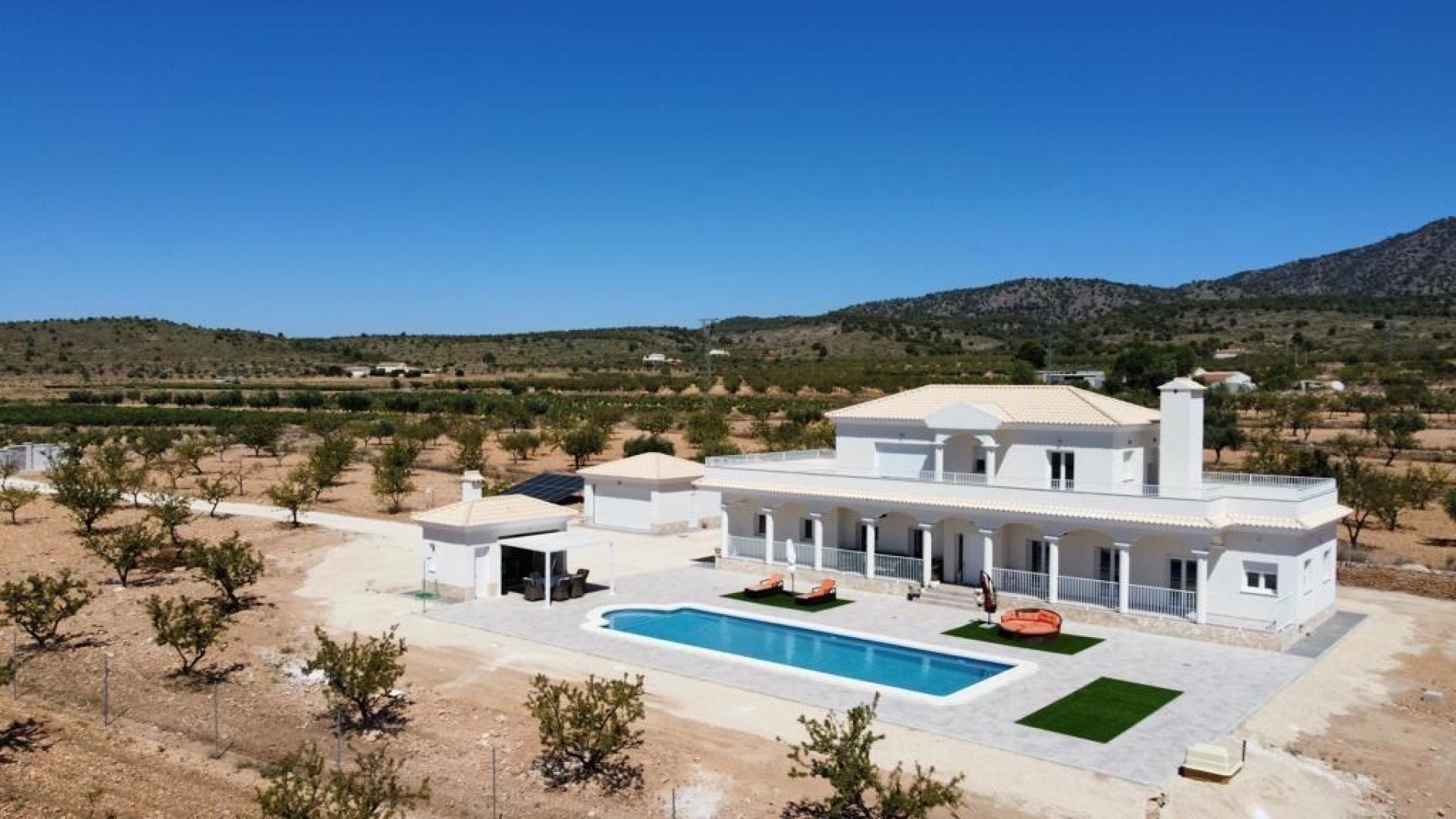 Luxury New Villas with Pool inc. land, licences & legalities in Alicante, Pinoso in Medvilla Spanje